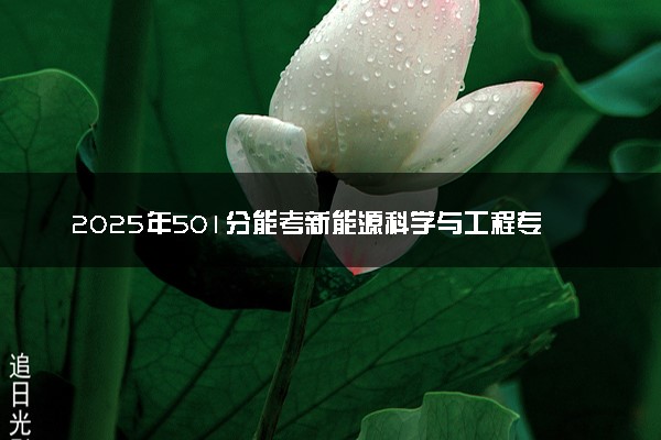 2025年501分能考新能源科学与工程专业吗 501分新能源科学与工程专业大学推荐