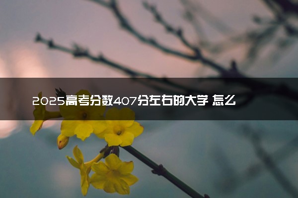 2025高考分数407分左右的大学 怎么填报志愿