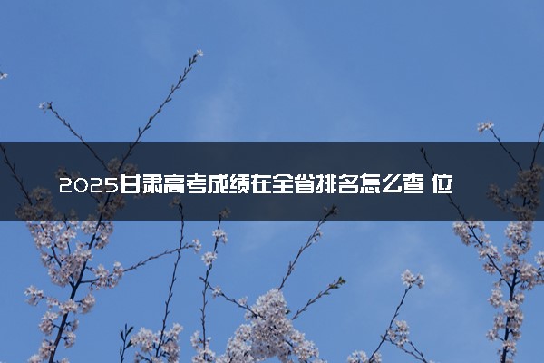2025甘肃高考成绩在全省排名怎么查 位次查询方法