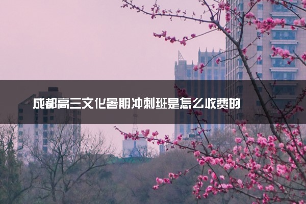 成都高三文化暑期冲刺班是怎么收费的