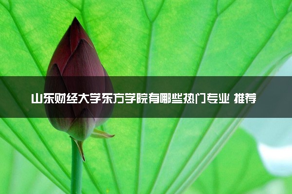 山东财经大学东方学院有哪些热门专业 推荐的王牌专业