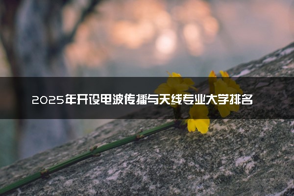 2025年开设电波传播与天线专业大学排名及评级 高校排行榜