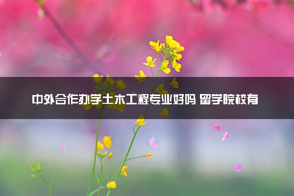 中外合作办学土木工程专业好吗 留学院校有哪些