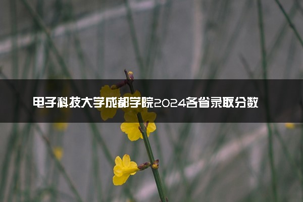 电子科技大学成都学院2024各省录取分数线及最低位次是多少