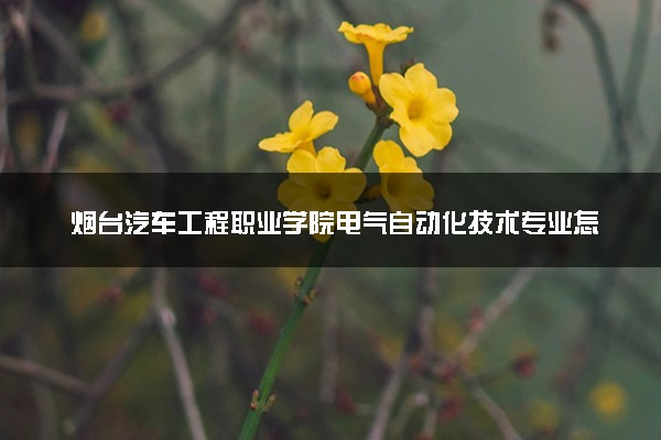烟台汽车工程职业学院电气自动化技术专业怎么样 录取分数线多少