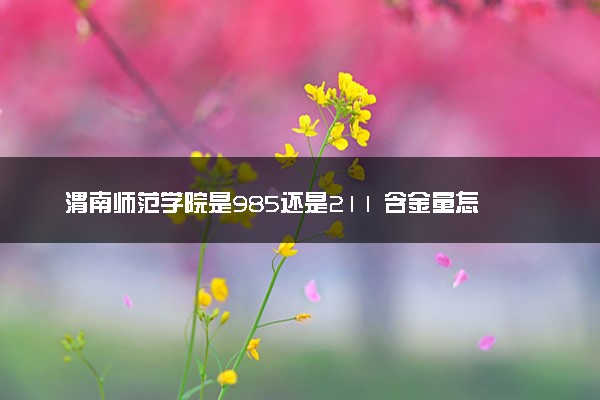 渭南师范学院是985还是211 含金量怎么样