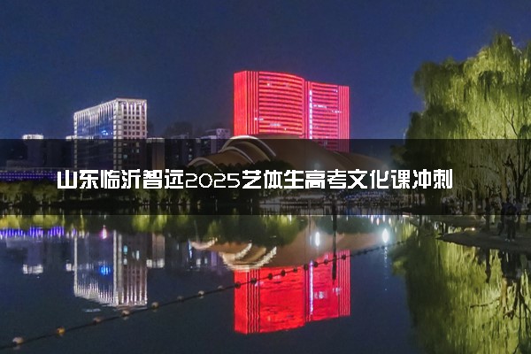 山东临沂智远2025艺体生高考文化课冲刺班