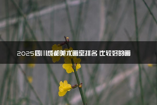 2025四川成都美术画室排名 比较好的画室推荐