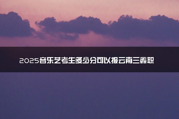2025音乐艺考生多少分可以报云南三鑫职业技术学院