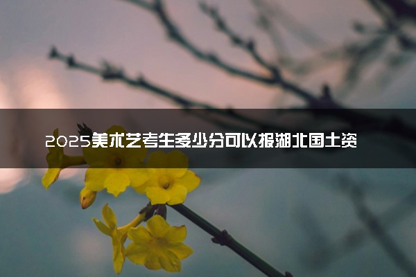 2025美术艺考生多少分可以报湖北国土资源职业学院