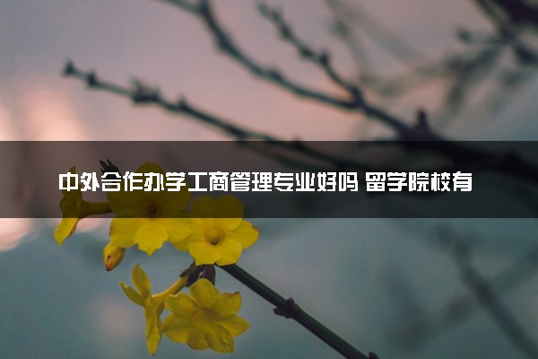 中外合作办学工商管理专业好吗 留学院校有哪些