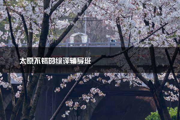 太原不错的综评辅导班