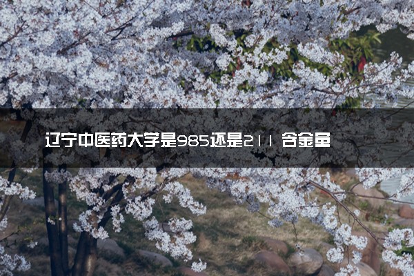 辽宁中医药大学是985还是211 含金量怎么样
