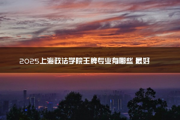 2025上海政法学院王牌专业有哪些 最好的专业是什么