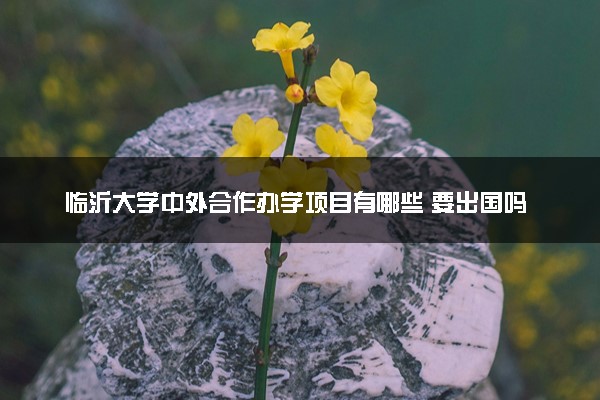 临沂大学中外合作办学项目有哪些 要出国吗