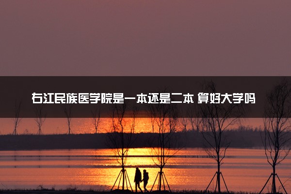 右江民族医学院是一本还是二本 算好大学吗