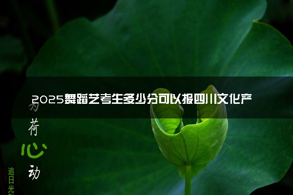 2025舞蹈艺考生多少分可以报四川文化产业职业学院