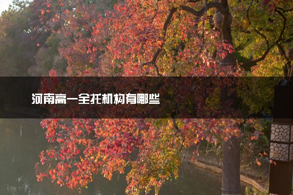 河南高一全托机构有哪些