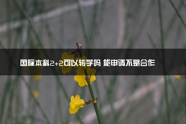国际本科2+2可以转学吗 能申请不是合作的学校吗
