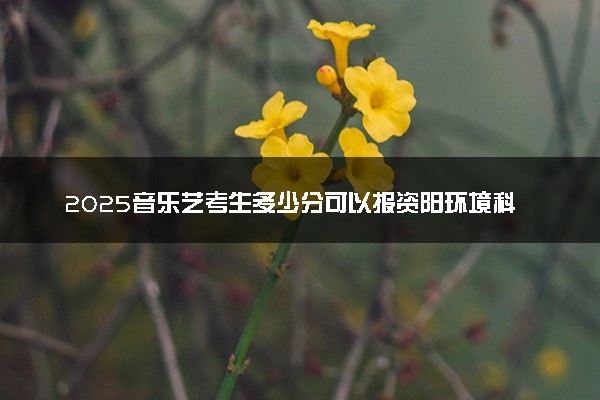 2025音乐艺考生多少分可以报资阳环境科技职业学院