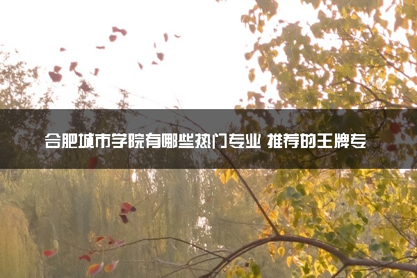 合肥城市学院有哪些热门专业 推荐的王牌专业