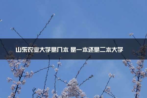 山东农业大学是几本 是一本还是二本大学