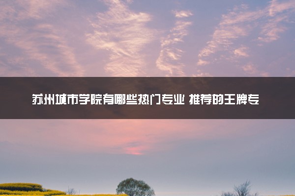 苏州城市学院有哪些热门专业 推荐的王牌专业