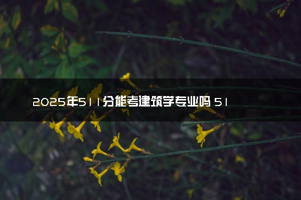 2025年511分能考建筑学专业吗 511分建筑学专业大学推荐