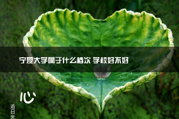 宁夏大学属于什么档次 学校好不好