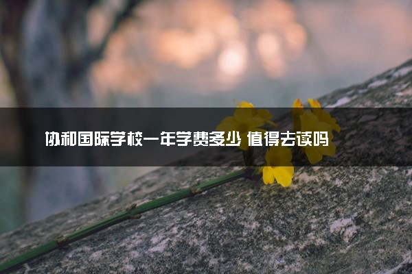 协和国际学校一年学费多少 值得去读吗