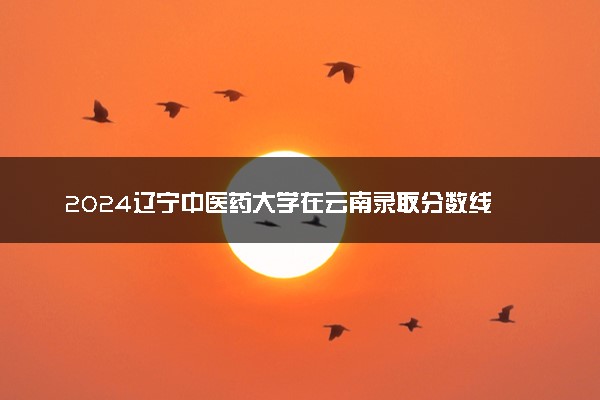2024辽宁中医药大学在云南录取分数线 各专业分数及位次