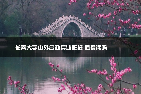 长春大学中外合办专业咋样 值得读吗