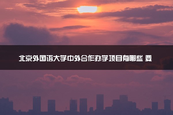 北京外国语大学中外合作办学项目有哪些 要出国吗