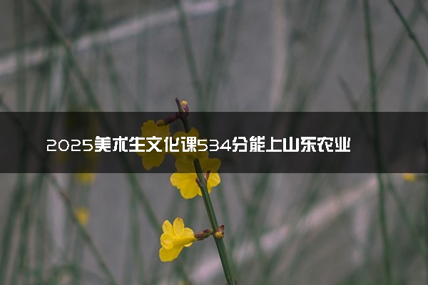 2025美术生文化课534分能上山东农业大学吗