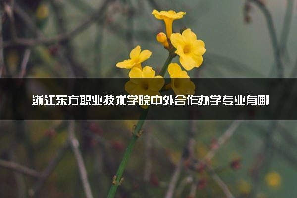 浙江东方职业技术学院中外合作办学专业有哪些 好就业吗