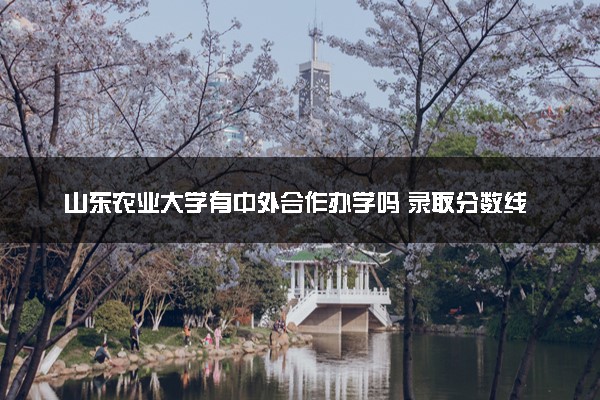 山东农业大学有中外合作办学吗 录取分数线是多少