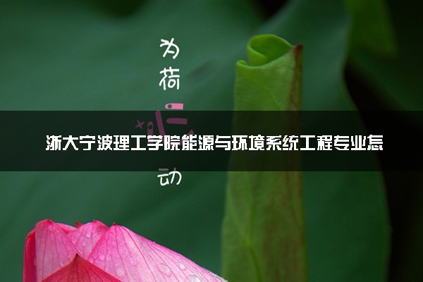 浙大宁波理工学院能源与环境系统工程专业怎么样 录取分数线多少