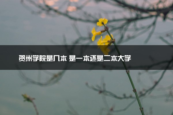贺州学院是几本 是一本还是二本大学
