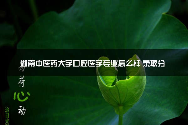 湖南中医药大学口腔医学专业怎么样 录取分数线多少