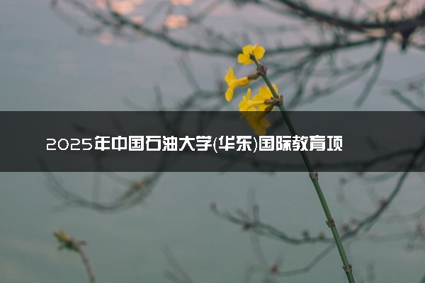 2025年中国石油大学（华东）国际教育项目招生简章