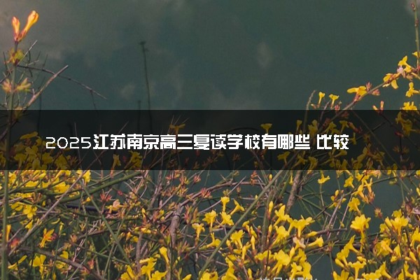 2025江苏南京高三复读学校有哪些 比较好的推荐