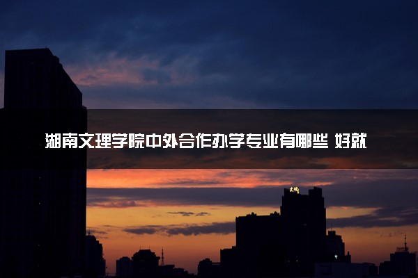 湖南文理学院中外合作办学专业有哪些 好就业吗
