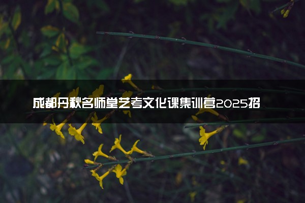 成都丹秋名师堂艺考文化课集训营2025招生简章
