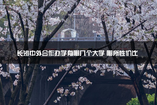 长沙中外合作办学有哪几个大学 哪所性价比高