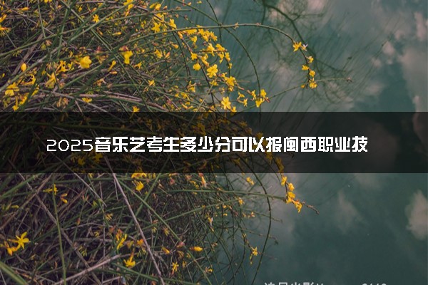 2025音乐艺考生多少分可以报闽西职业技术学院