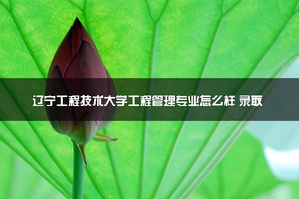 辽宁工程技术大学工程管理专业怎么样 录取分数线多少
