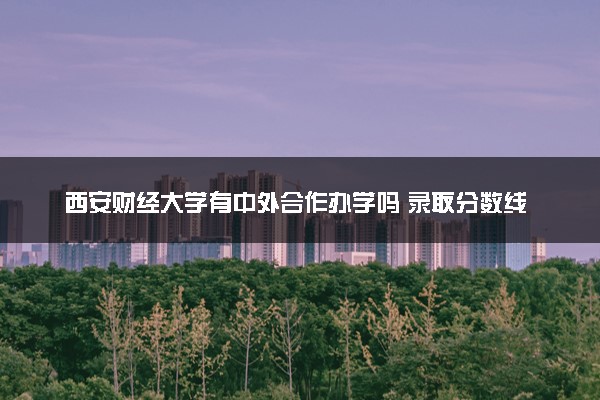 西安财经大学有中外合作办学吗 录取分数线是多少
