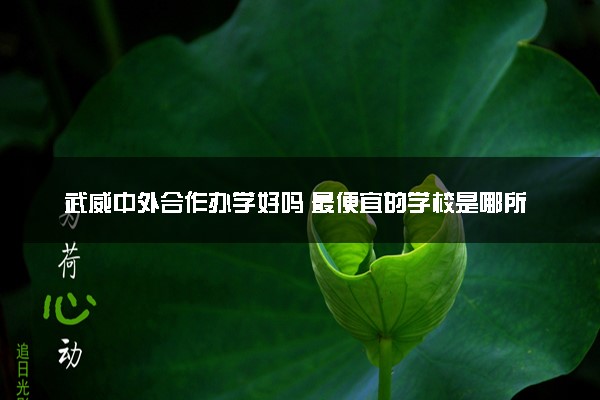 武威中外合作办学好吗 最便宜的学校是哪所