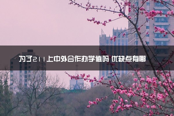 为了211上中外合作办学值吗 优缺点有哪些