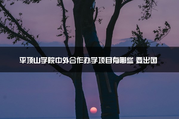 平顶山学院中外合作办学项目有哪些 要出国吗